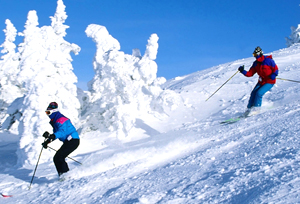 Himachal Skiing Tour
