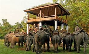 Assam Meghalaya Wildlife Tour