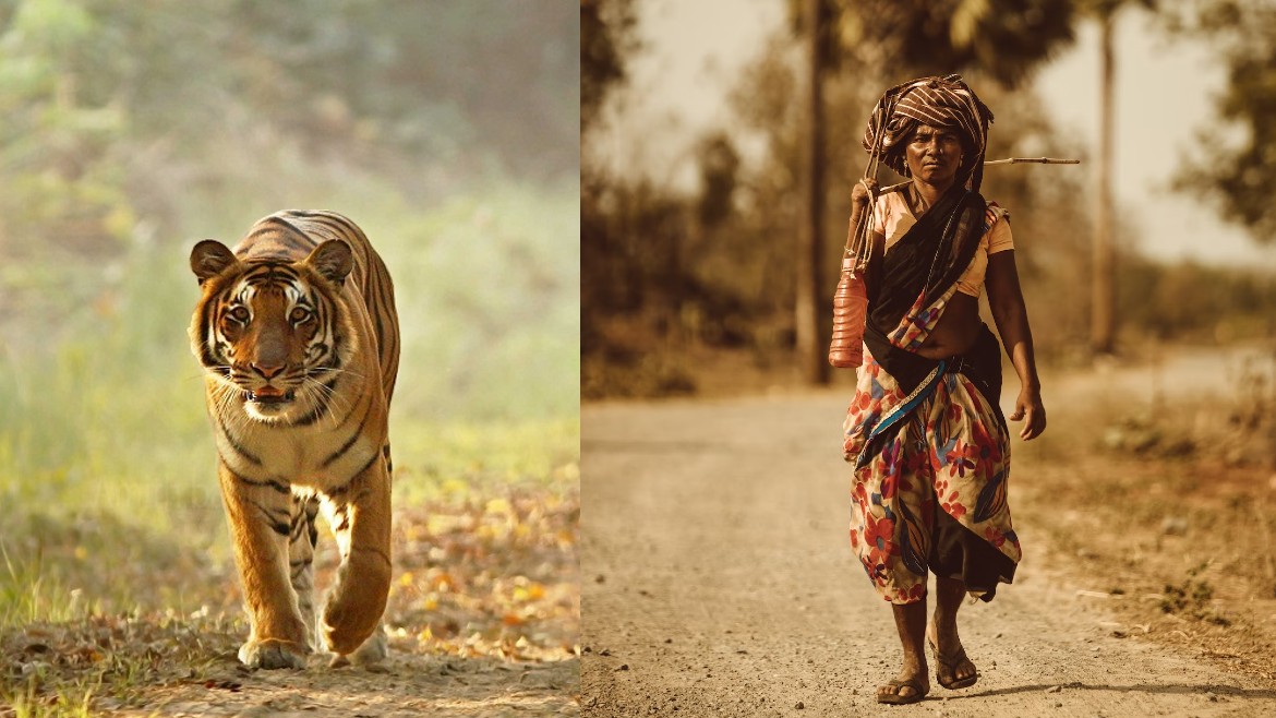 India Tribal Tour With Wildlife