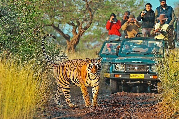 Golden Triangle Tour With Ranthambore & Bharatpur