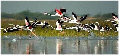 Golden Triangle With Bharatpur Tour